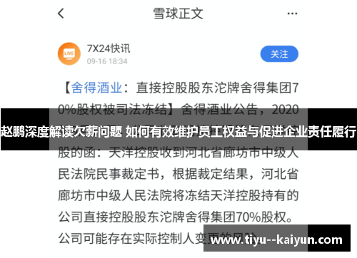 赵鹏深度解读欠薪问题 如何有效维护员工权益与促进企业责任履行