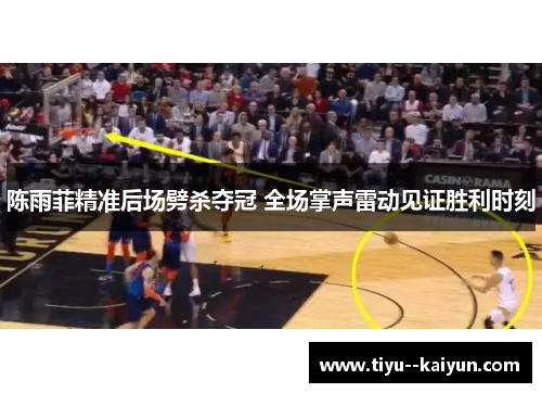 陈雨菲精准后场劈杀夺冠 全场掌声雷动见证胜利时刻
