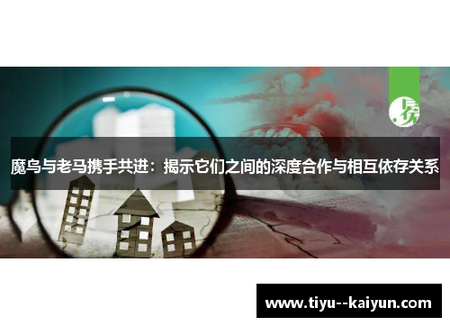 魔鸟与老马携手共进：揭示它们之间的深度合作与相互依存关系